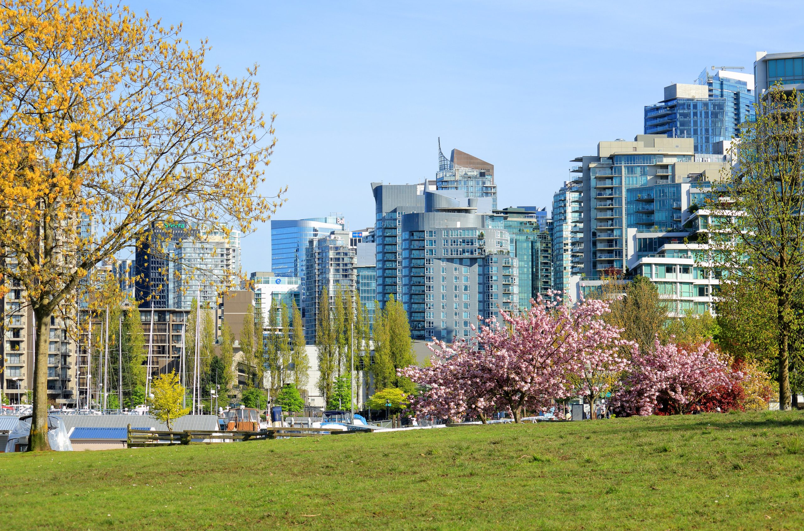 Strata outdoor AC unit cleaning in Vancouver spring